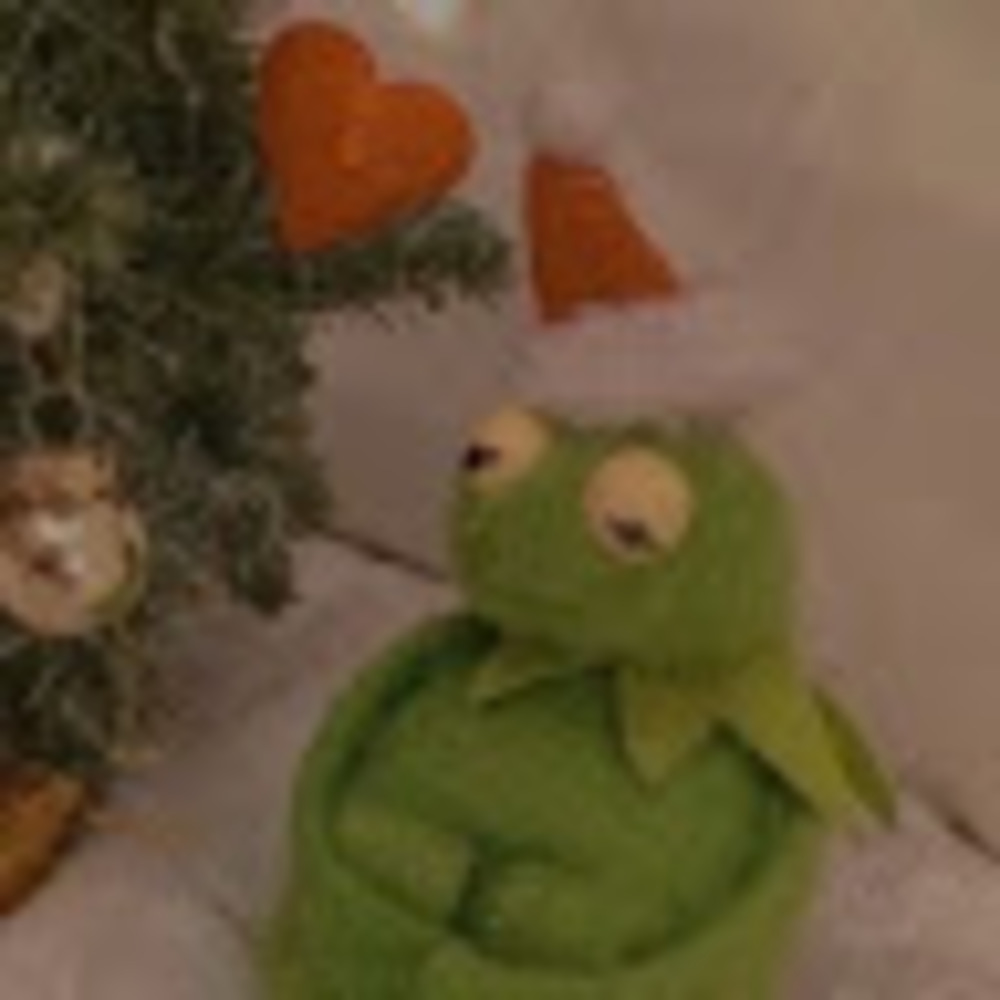 Meet your Posher, Kiki